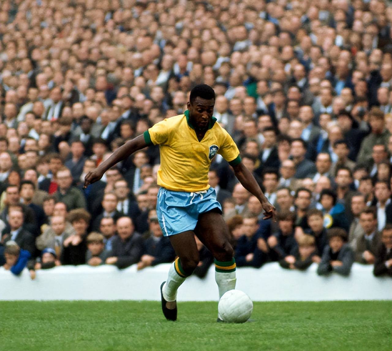 即防具按